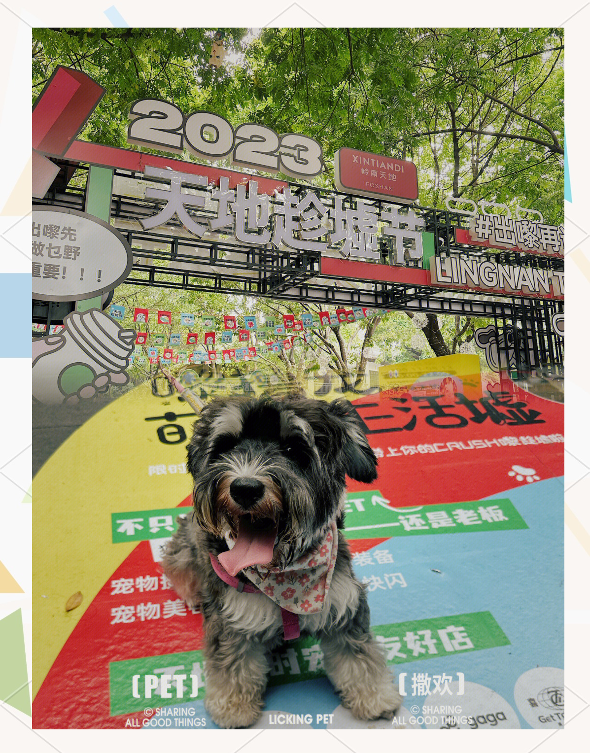 2017沈阳宠物节 2021宠物猫展会沈阳 2017沈阳宠物节 2021宠物猫展会沈阳