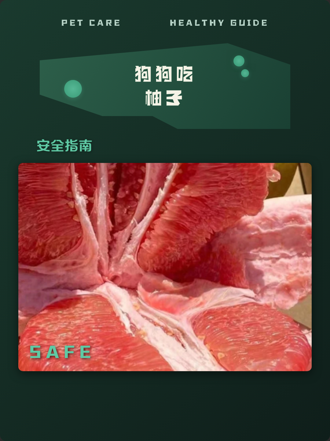 狗狗能不能吃柚子 狗狗能不能吃柚子里面的白肉 狗狗能不能吃柚子 狗狗能不能吃柚子里面的白肉