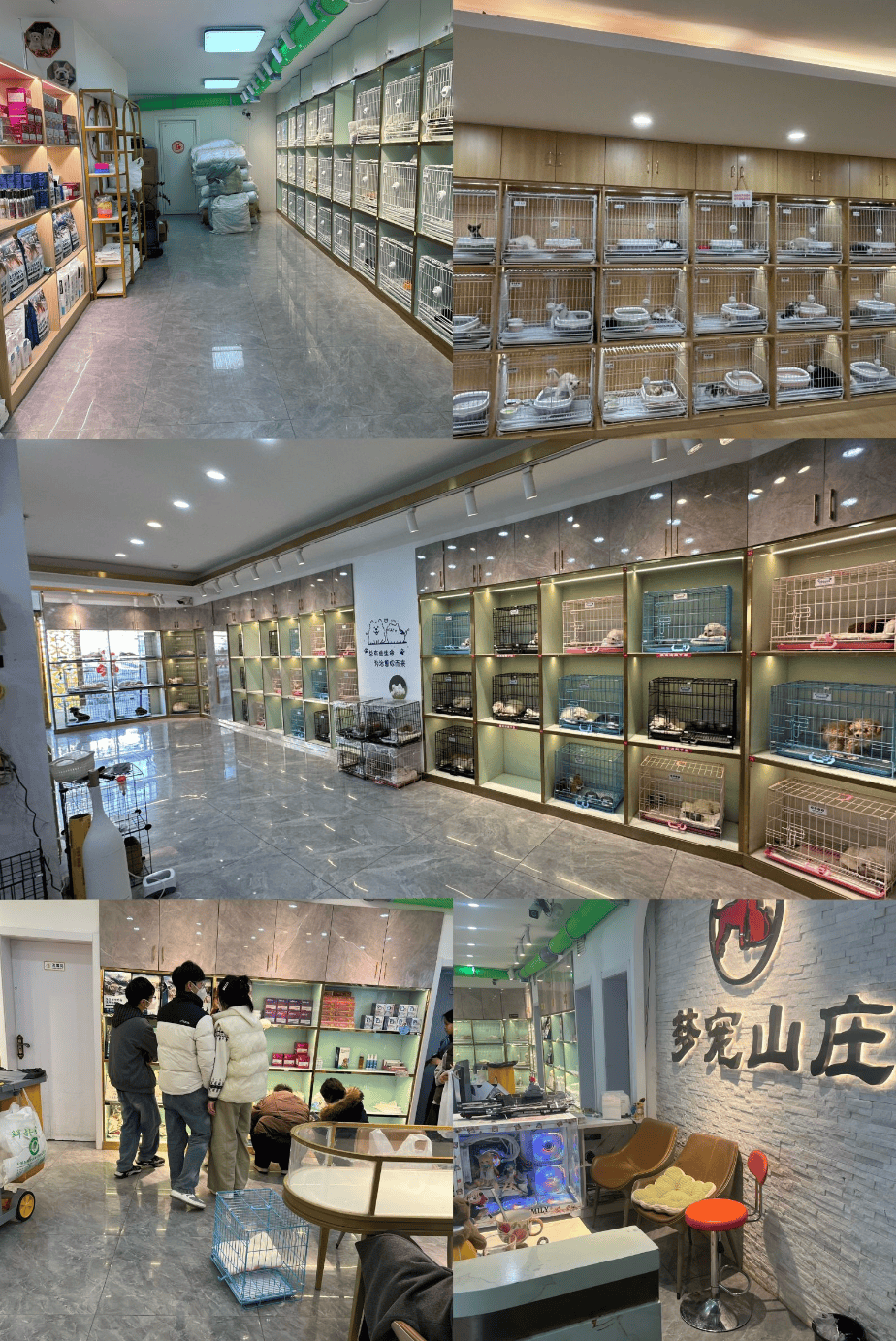 合肥的宠物市场 合肥宠物市场一条街 合肥的宠物市场 合肥宠物市场一条街