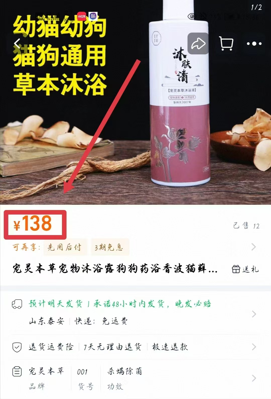 宠物药浴怎么做 宠物药浴是泡在水里吗 宠物药浴怎么做 宠物药浴是泡在水里吗