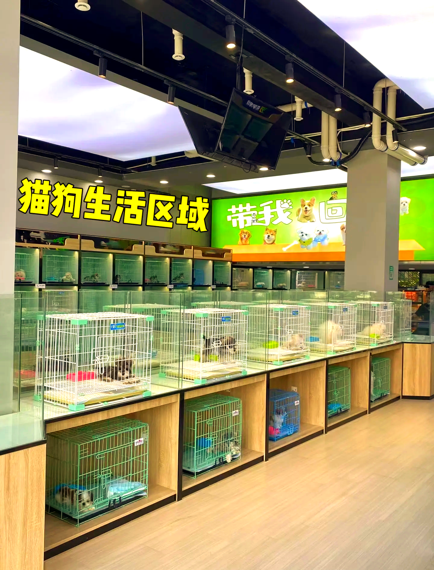 南充市宠物市场 南充市哪里有宠物店 南充市宠物市场 南充市哪里有宠物店