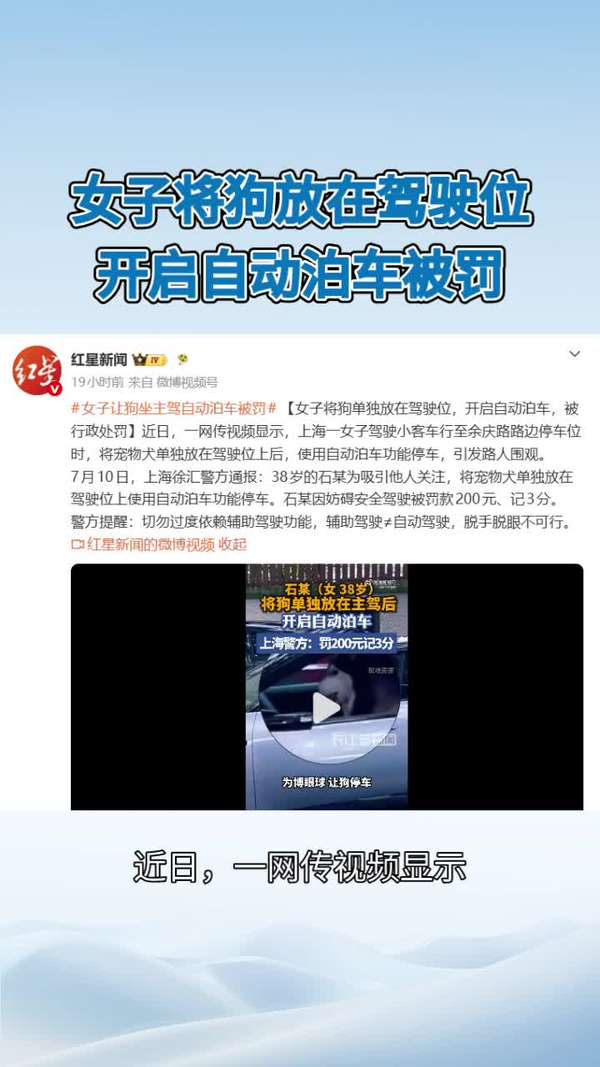 带宠物开车会给罚款吗 携带宠物开车会被罚款吗 带宠物开车会给罚款吗 携带宠物开车会被罚款吗