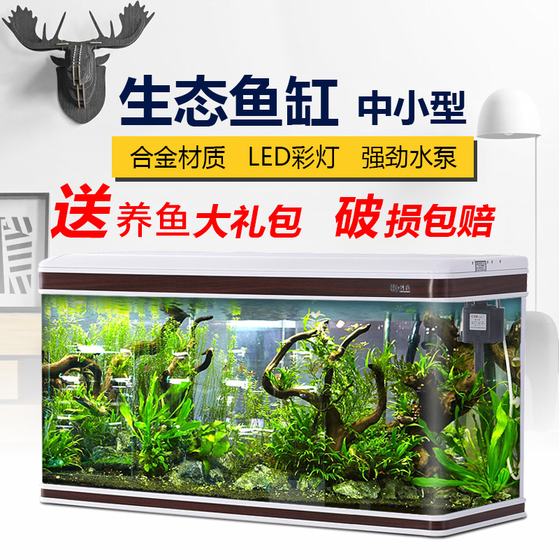 鱼缸养什么宠物好 鱼缸里应该养什么鱼